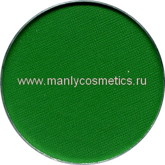 ТМE095b.jpg