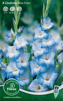 4185298.Gladiolus_Krupnocvetkoviy_Blu_Frost_85-0_v_upak._10st.jpg