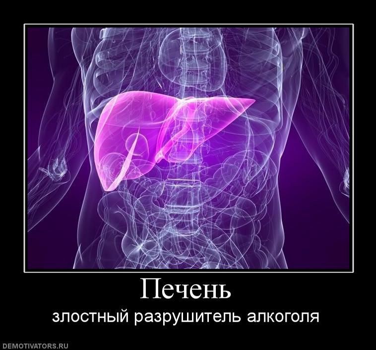 07.08.2010 1:07:36