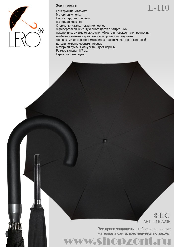 L-110.jpg