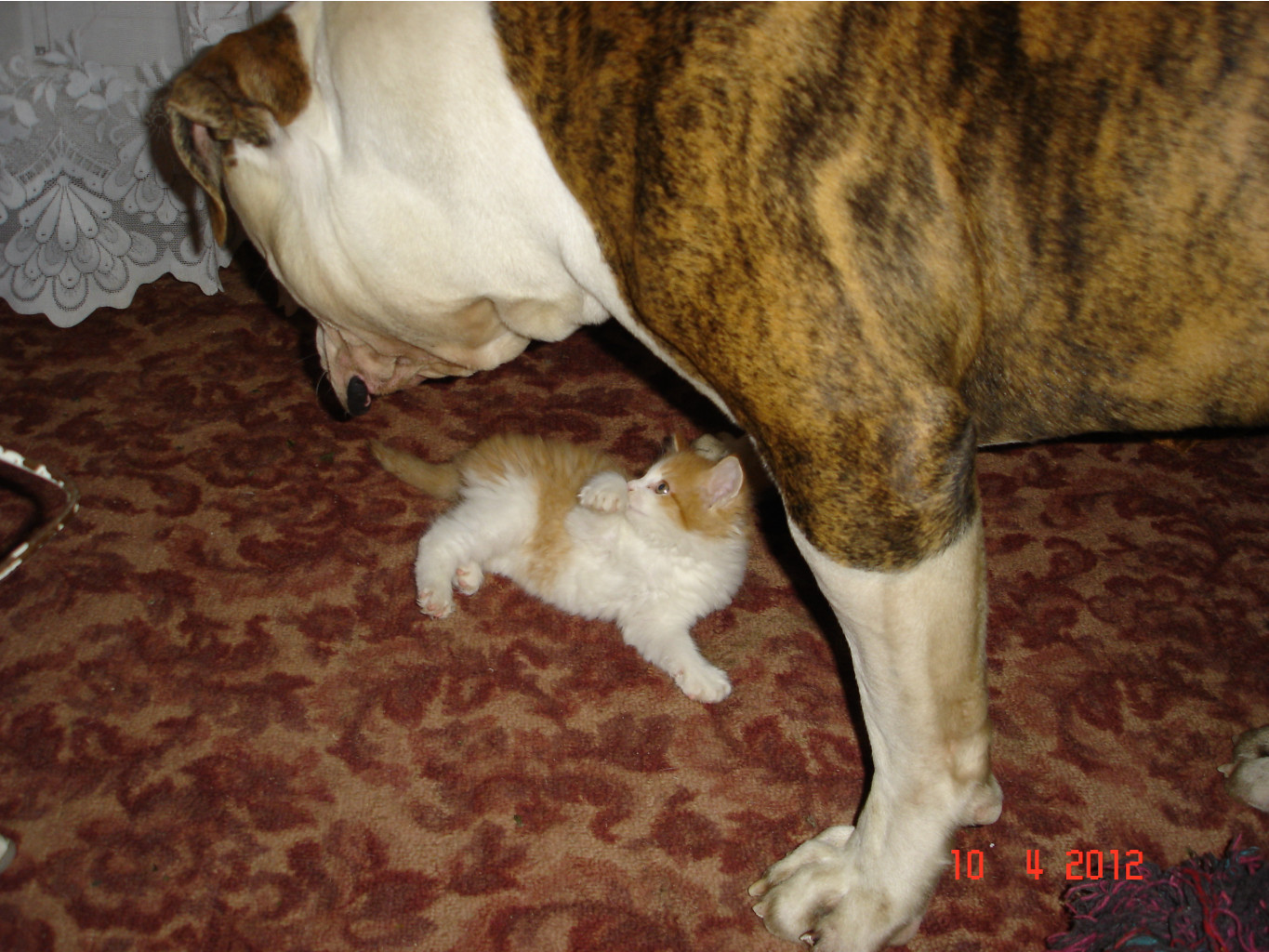 DSC01426.JPG
