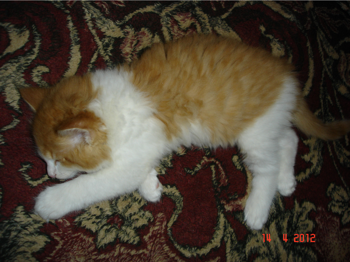 DSC01430.JPG