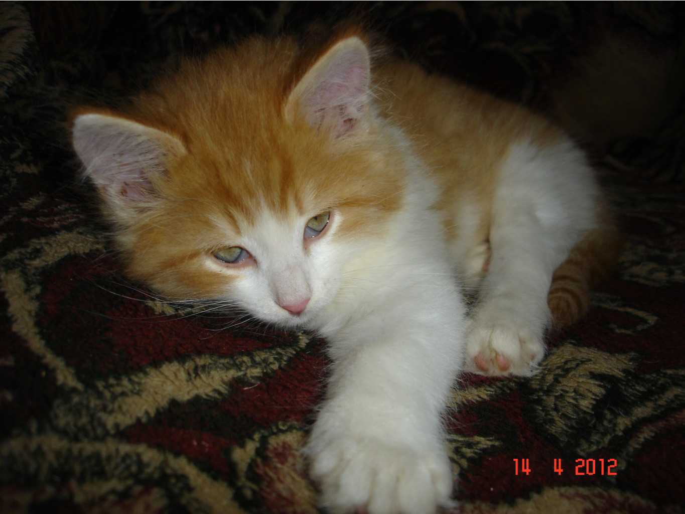DSC01435.JPG