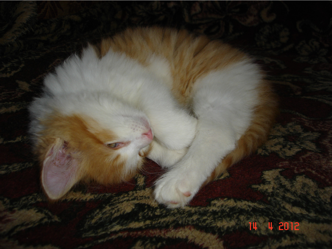 DSC01438.JPG