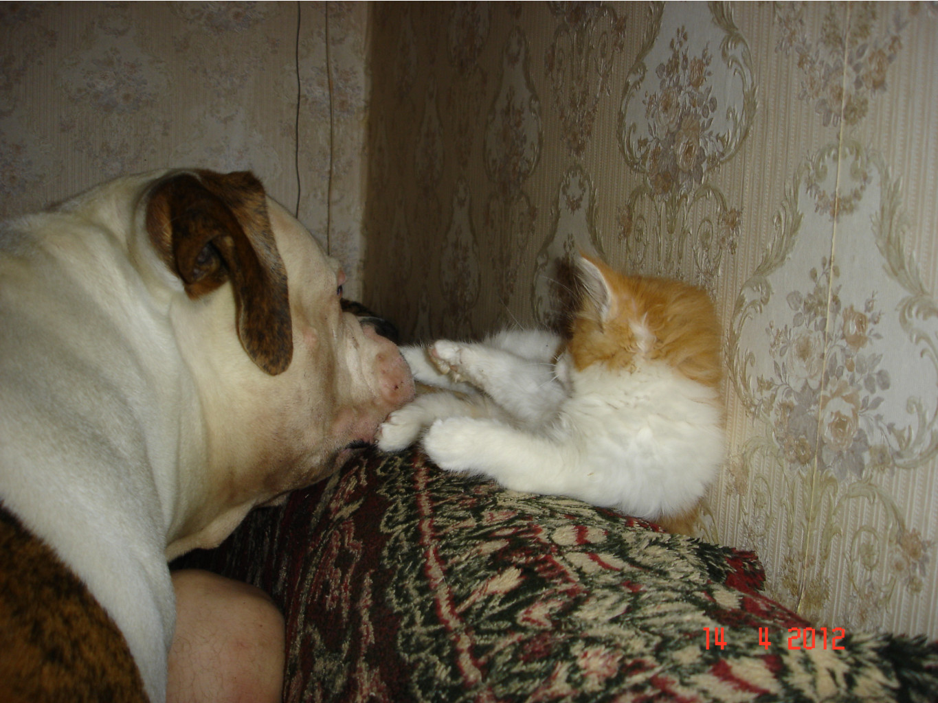 DSC01444.JPG