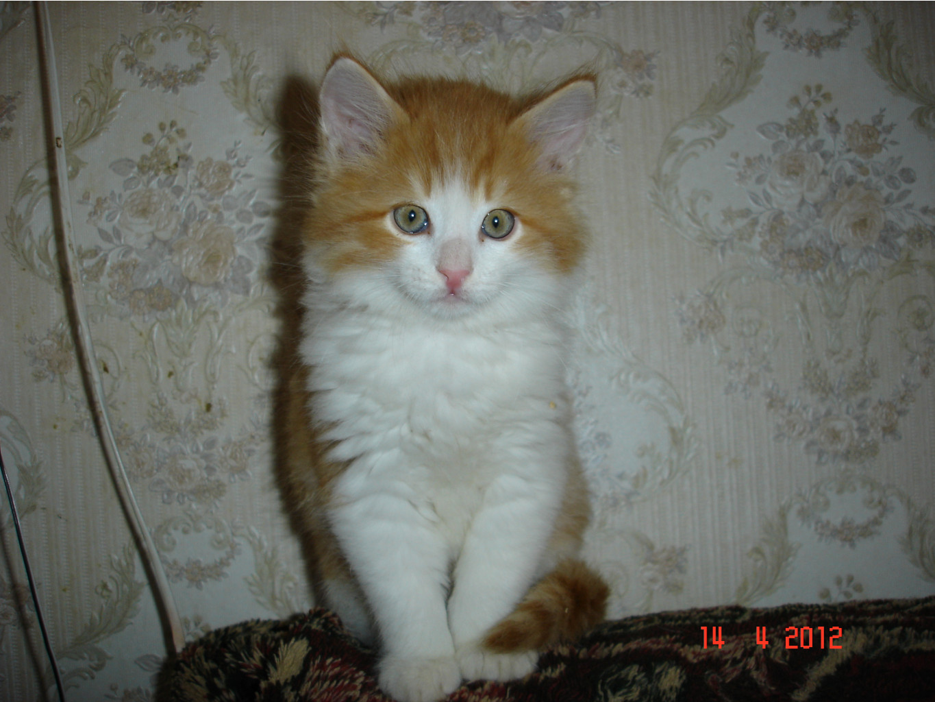 DSC01447.JPG