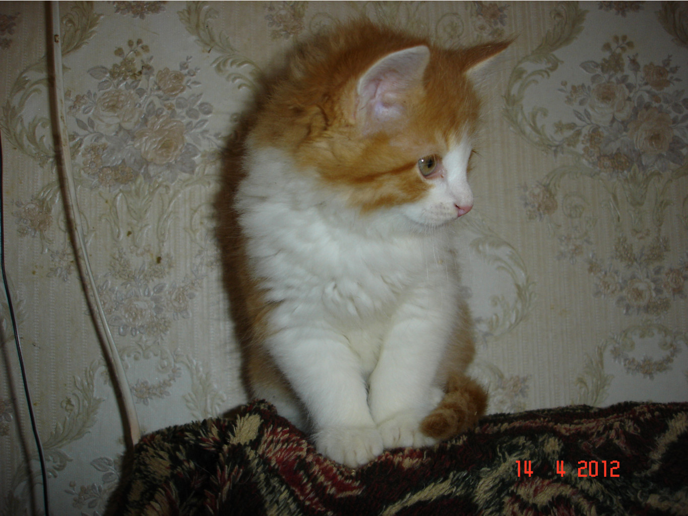 DSC01449.JPG