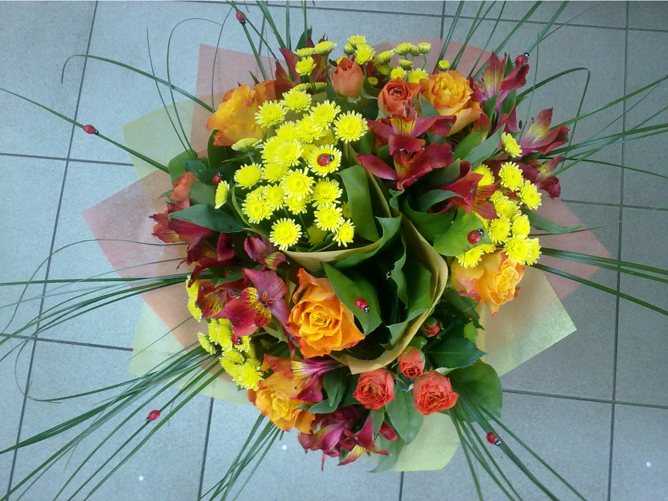 21092012087.jpg