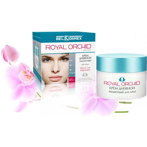        - Royal Orchid.jpg