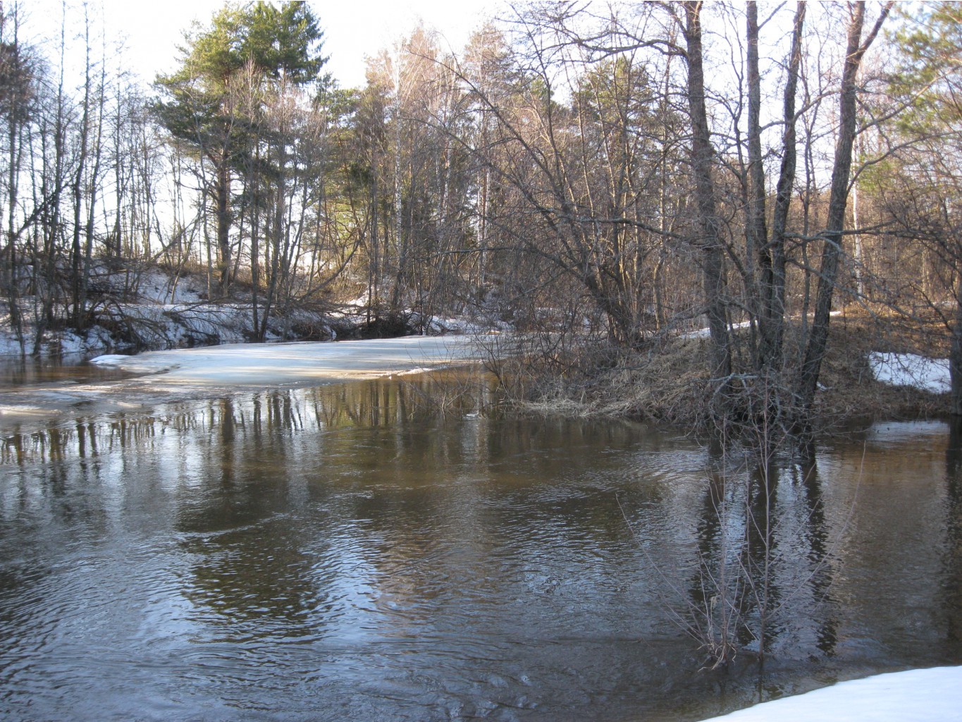 IMG_2780.JPG