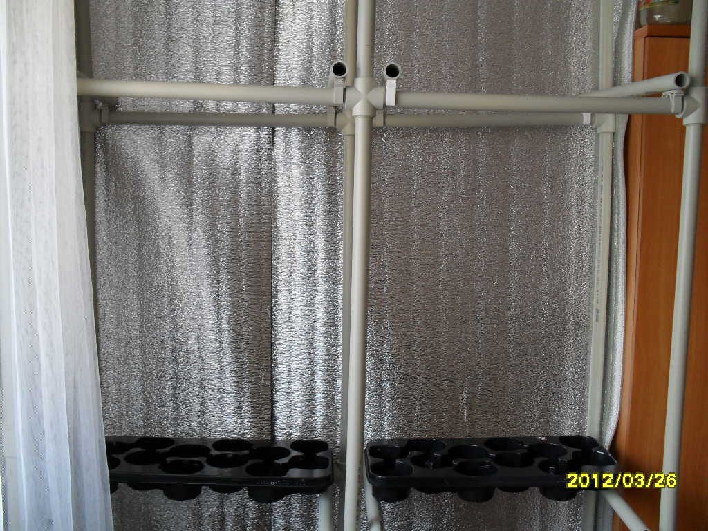 SDC12324.JPG