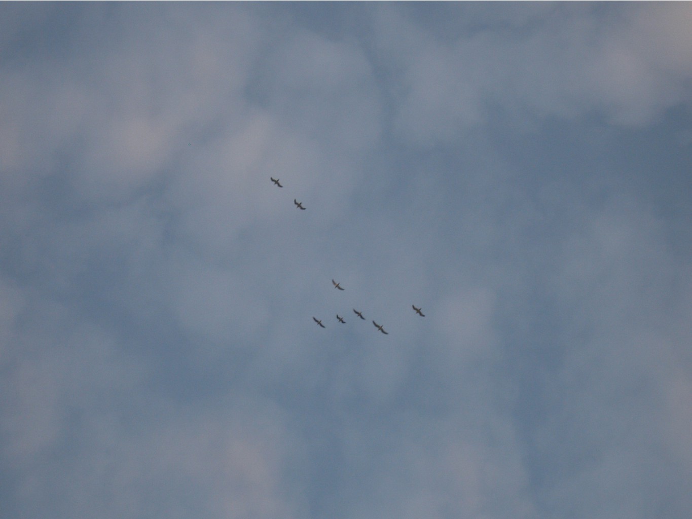 P4155185.JPG