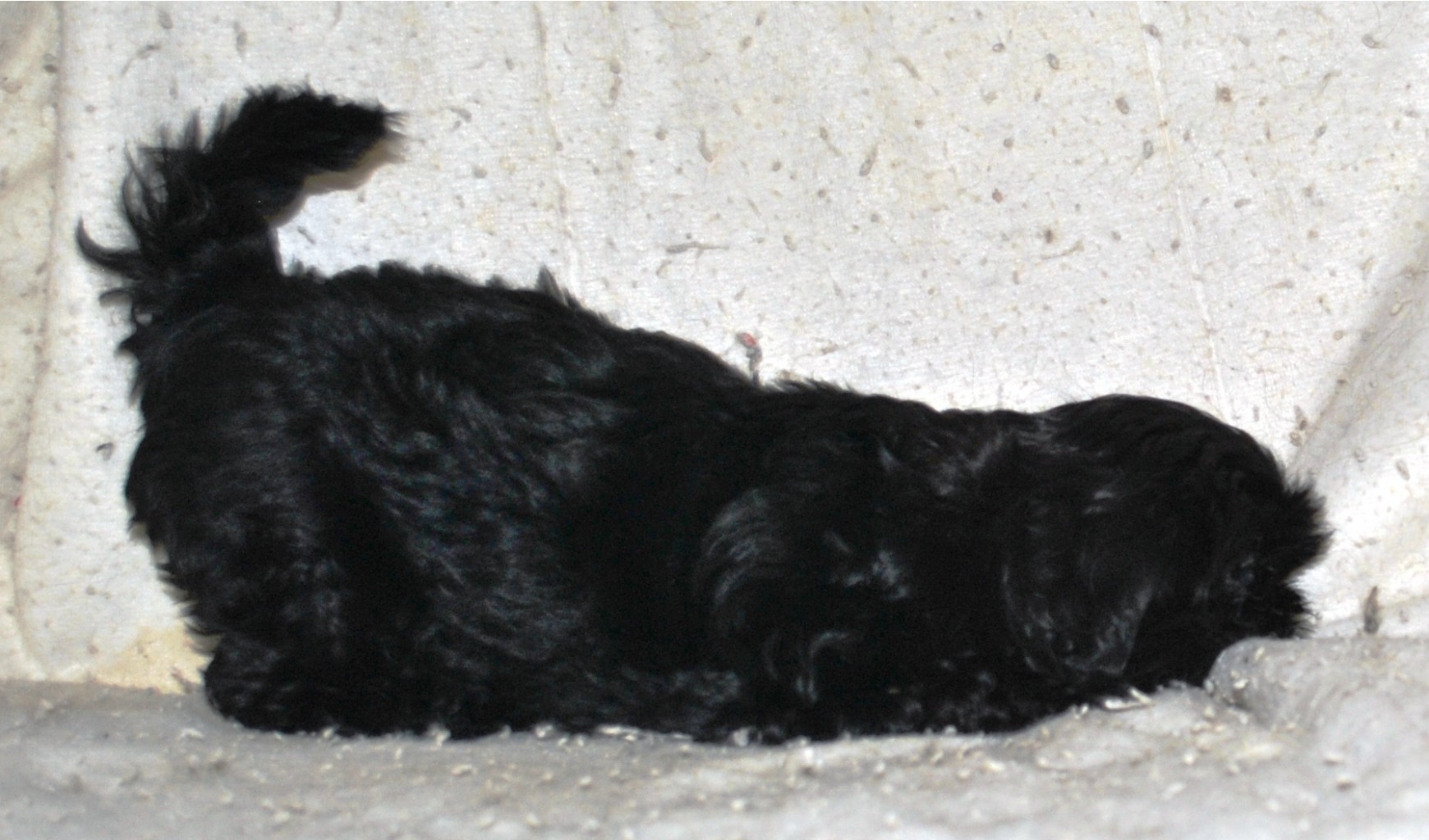 DSC_0275.jpg