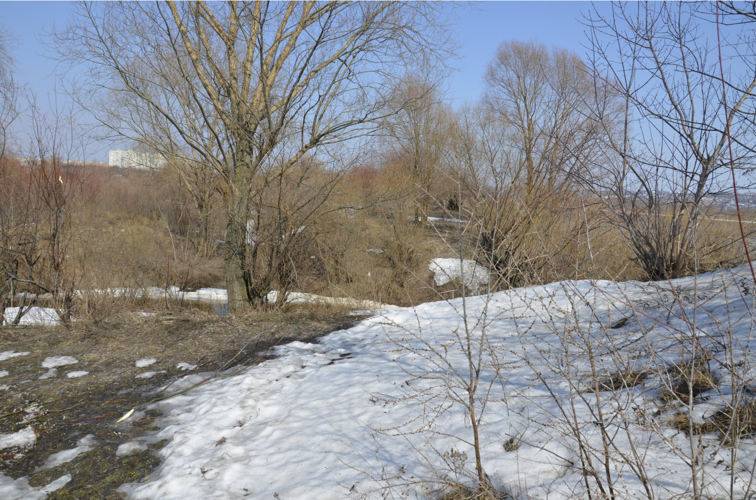 Small__DSC1545.JPG