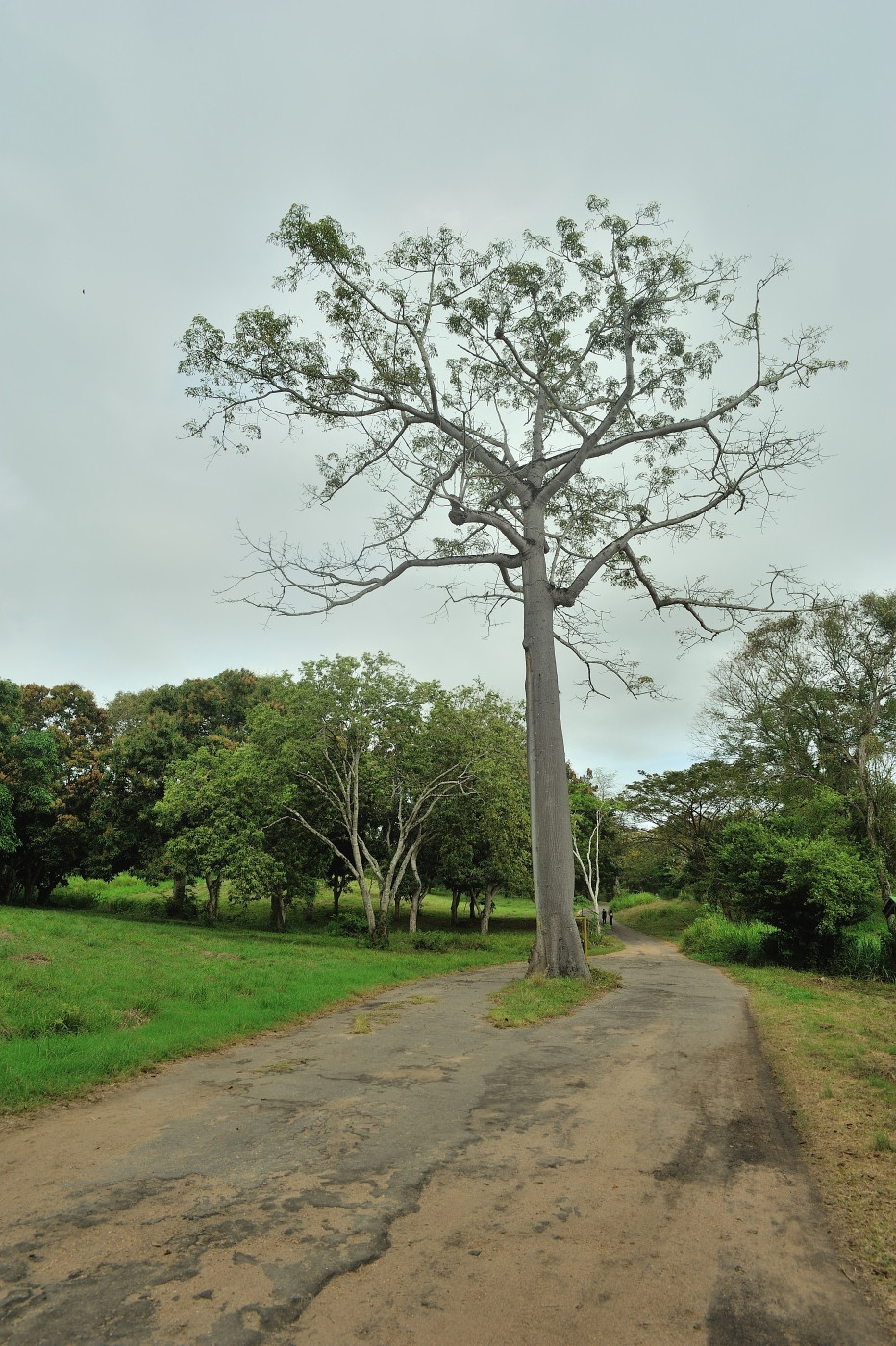 DSC_4460_078.JPG