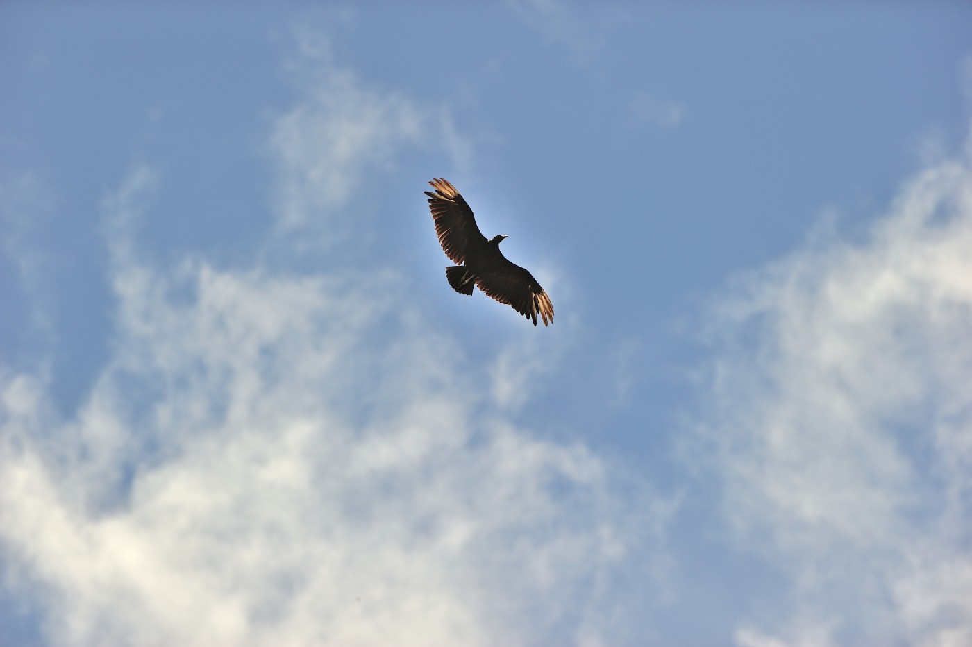 DSC_4547_108.JPG