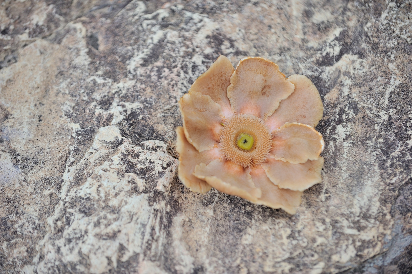 DSC_4605_135.JPG