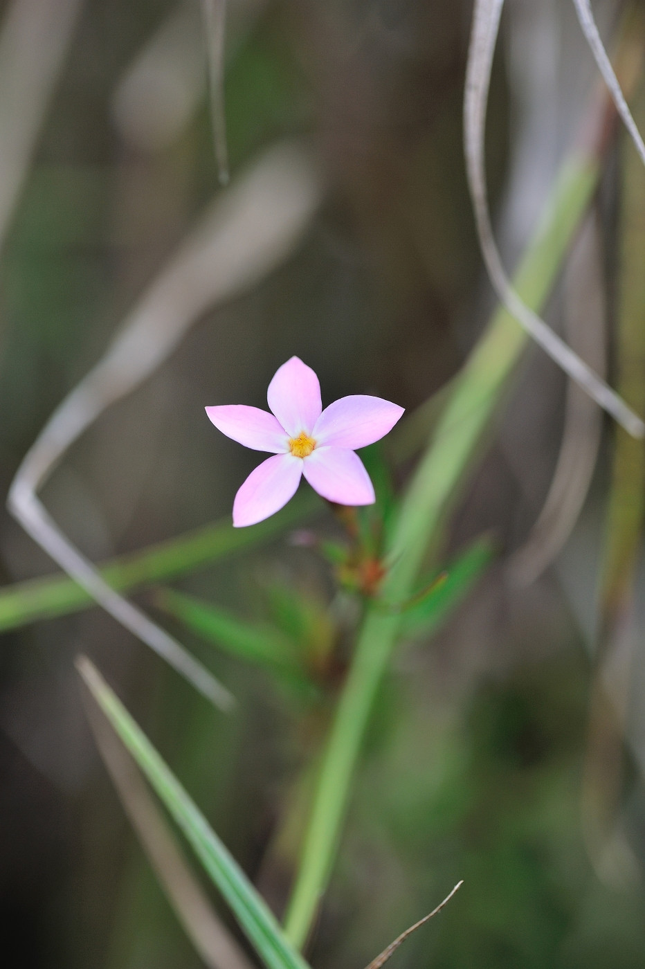 DSC_4714_170.JPG