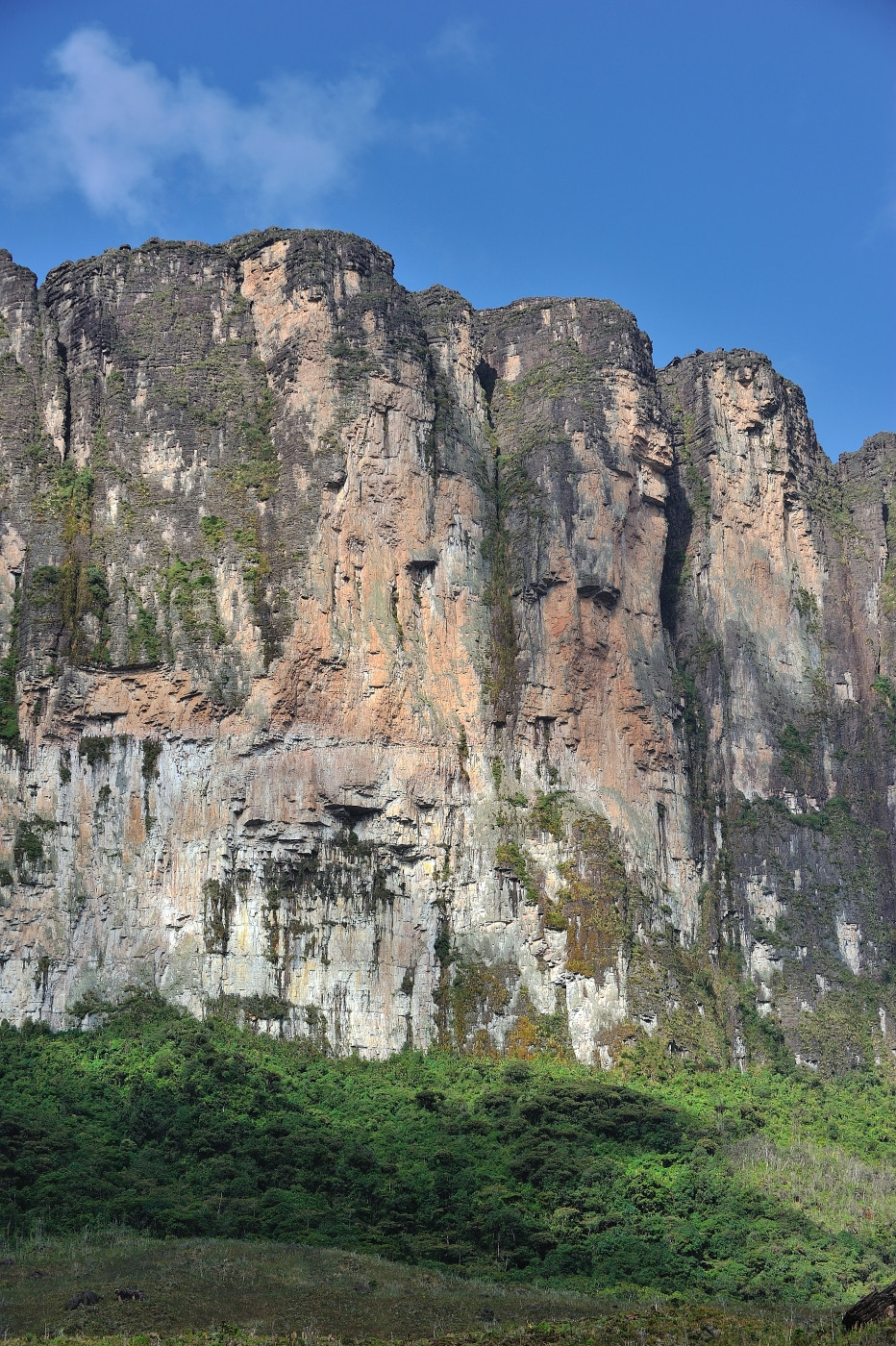 DSC_4777_184.JPG