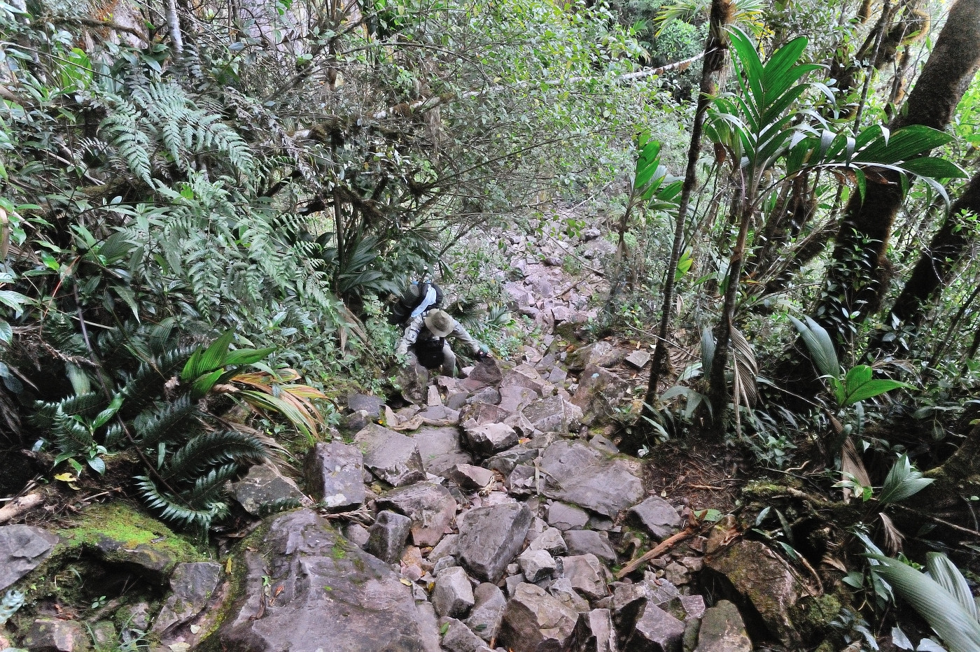 DSC_4809_204.JPG