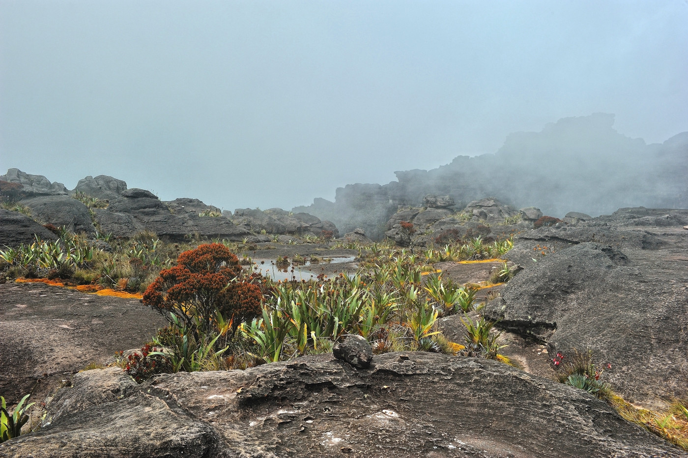 DSC_4859_225.JPG