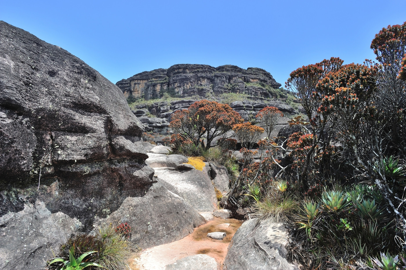 DSC_4872_234.JPG