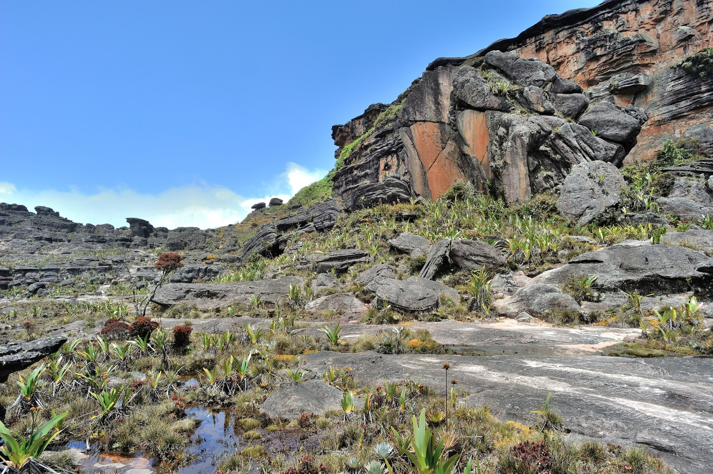 DSC_4881_240.JPG