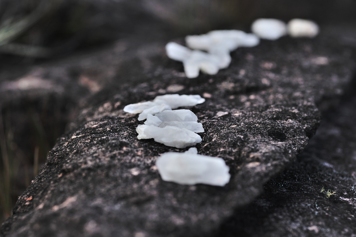 DSC_4920_268.JPG