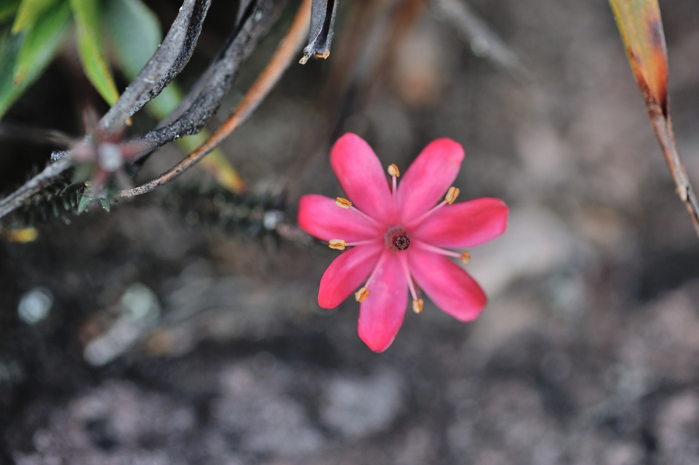 DSC_4948_281.JPG