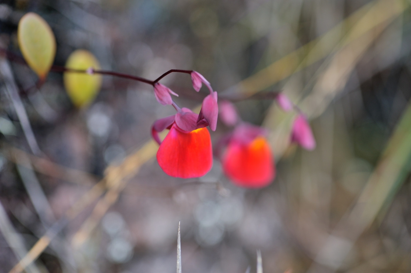 DSC_4963_291.JPG