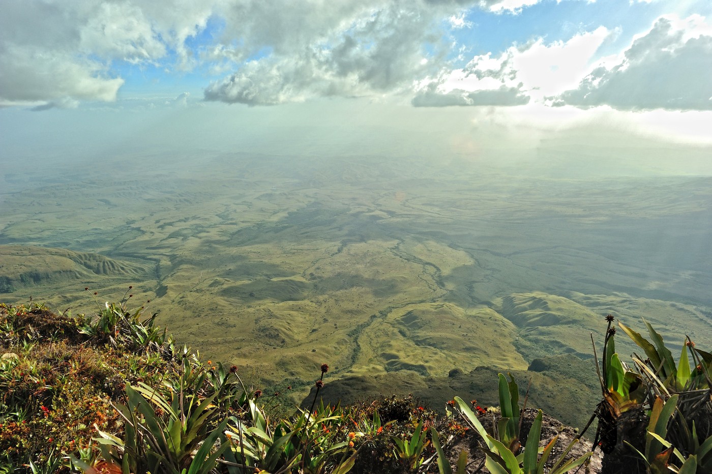DSC_4978_304.JPG