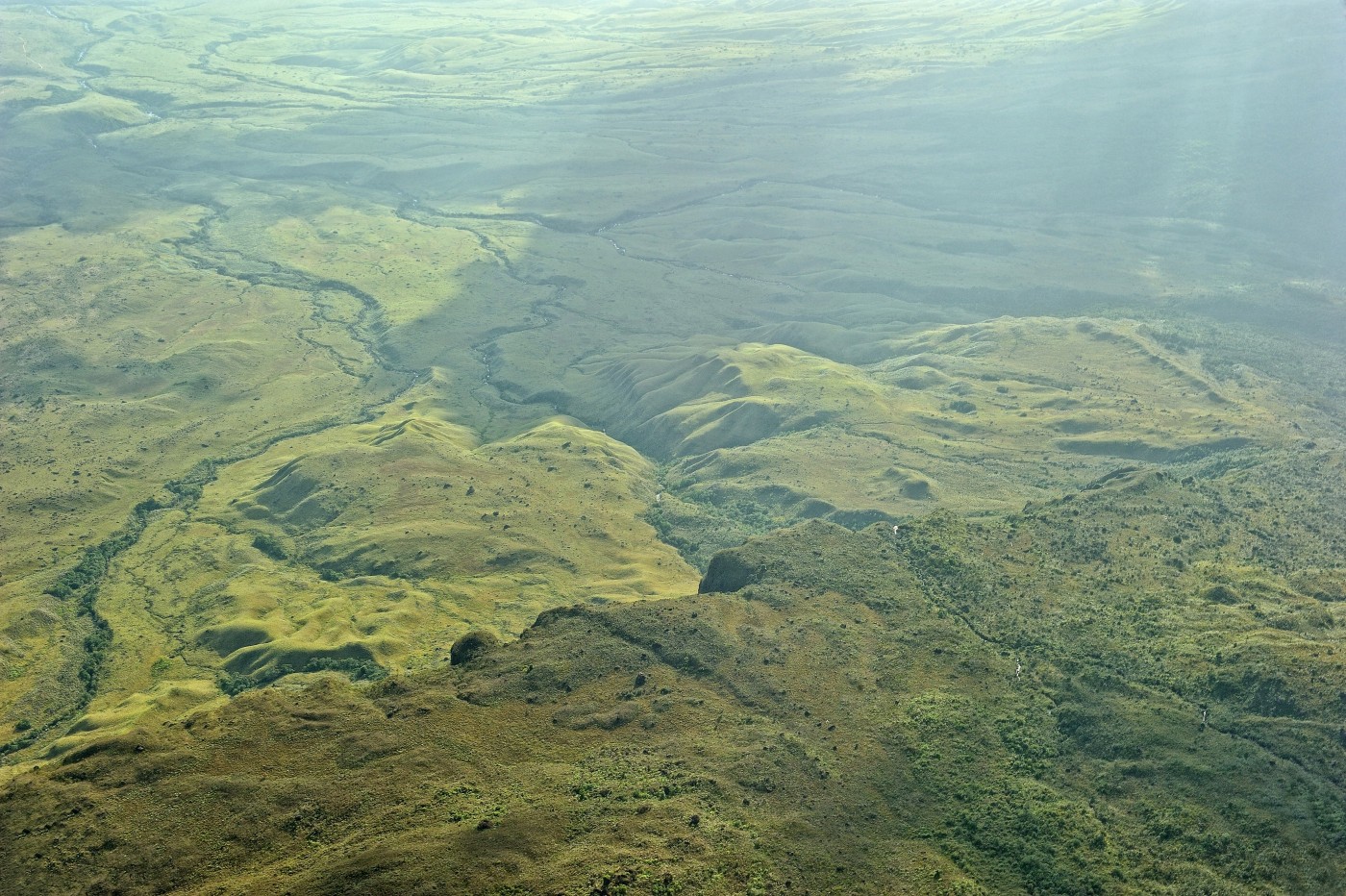 DSC_4981_305.JPG