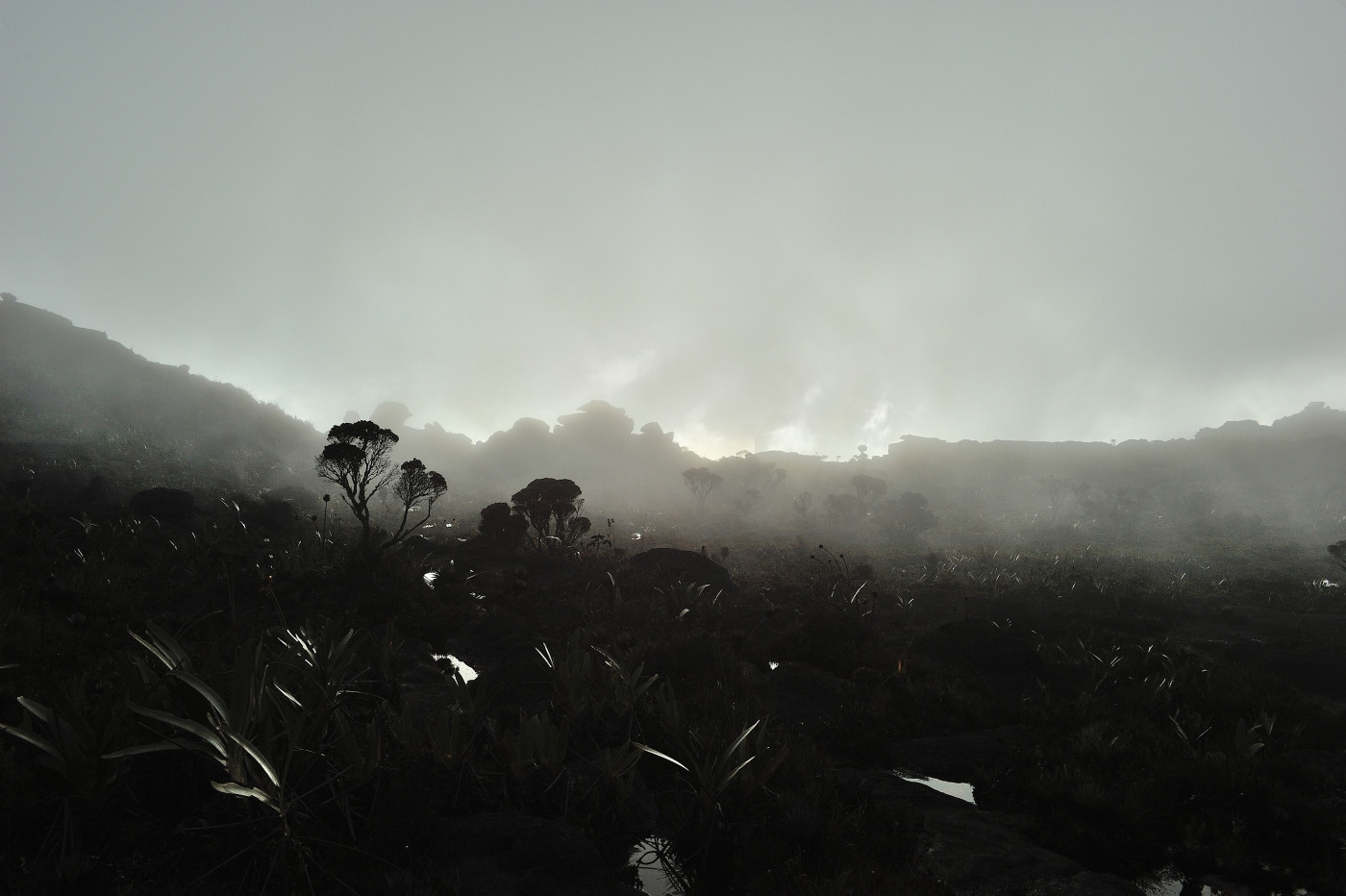 DSC_4992_310.JPG