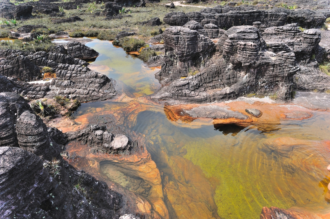 DSC_5132_360.JPG