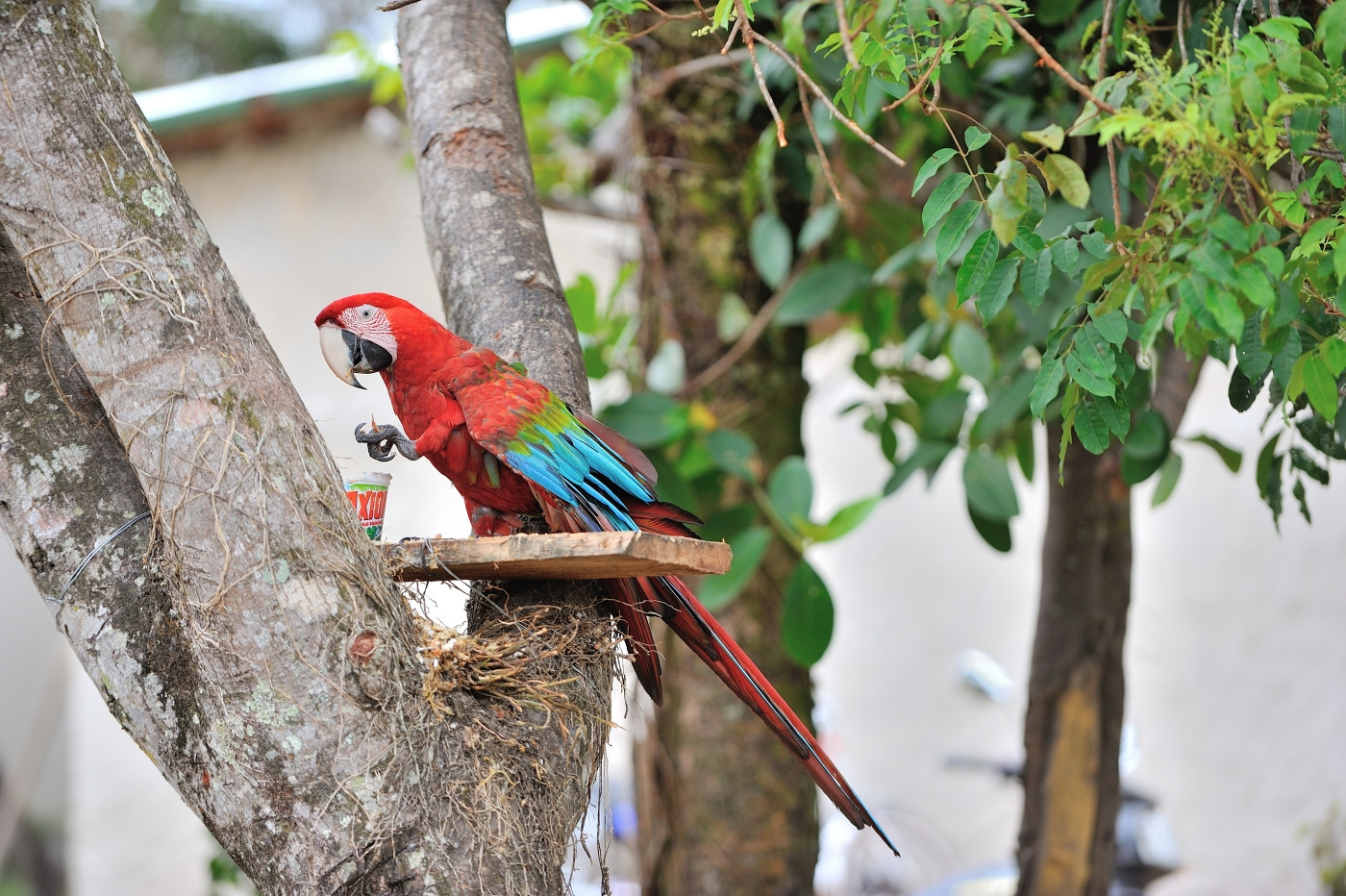 DSC_5360_476.JPG