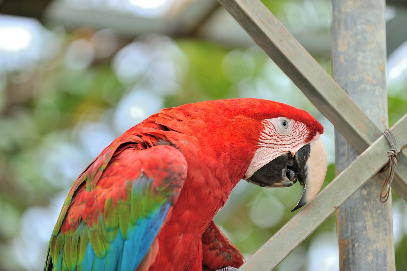 DSC_5417_510.JPG