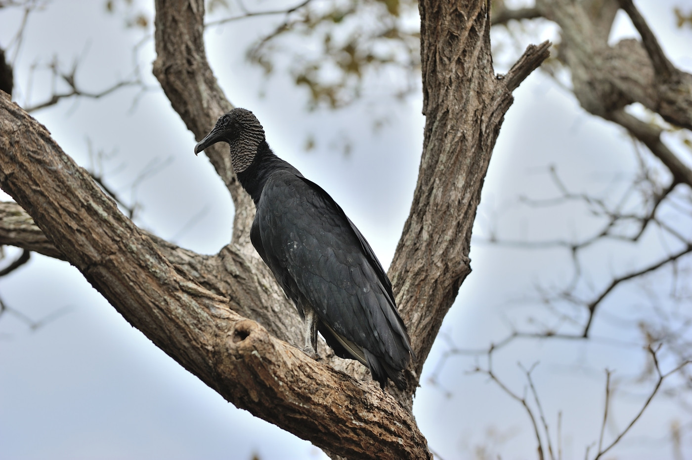 DSC_5552_567.JPG