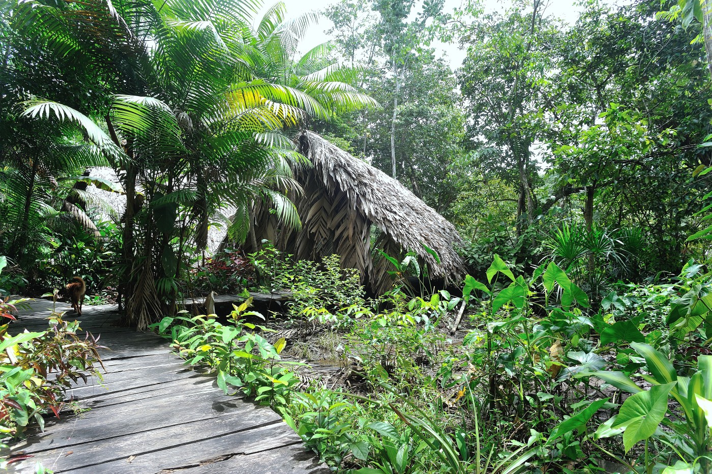 DSC_5556_570.JPG
