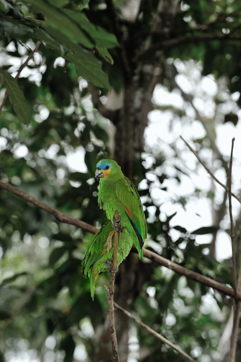 DSC_5568_577.JPG