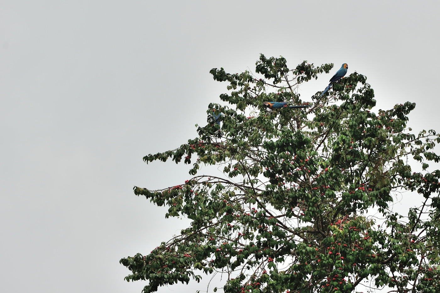 DSC_5656_617.JPG