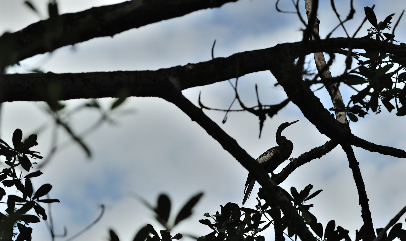 DSC_5683_631.JPG