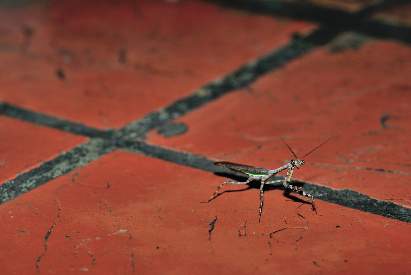 DSC_5710_642.JPG
