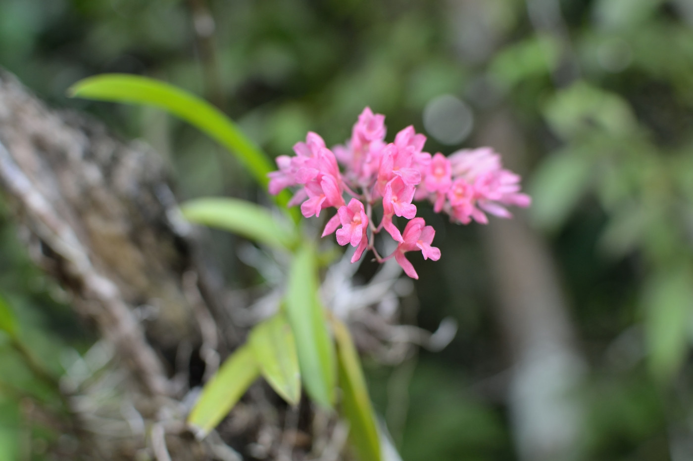 DSC_5716_647.JPG
