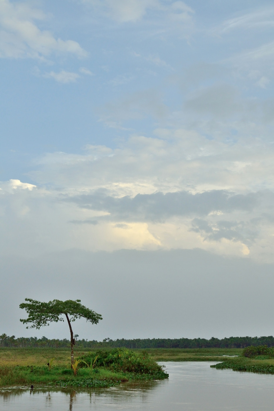 DSC_5718_649.JPG
