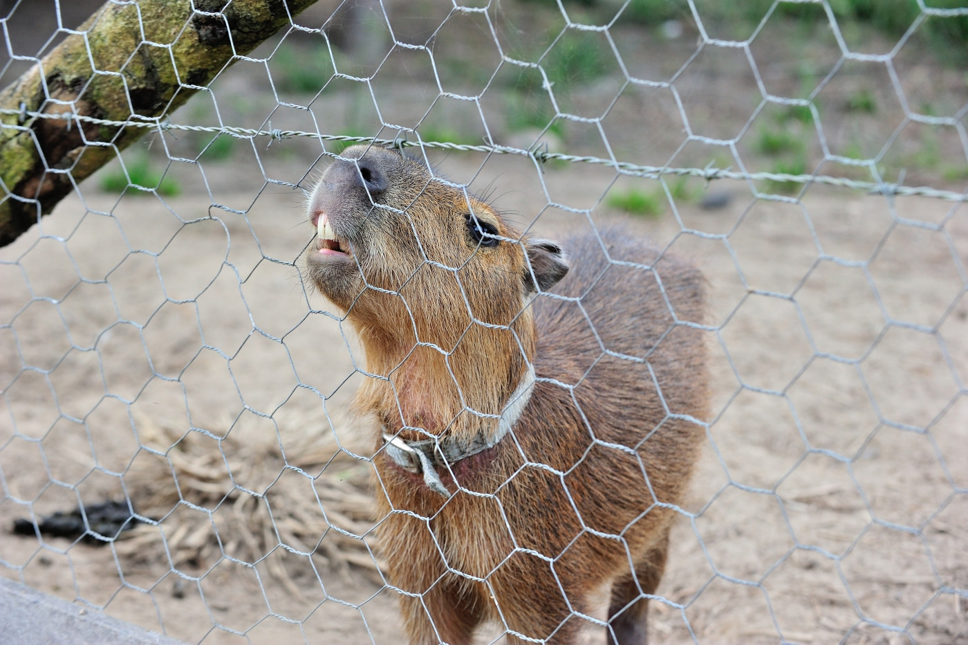 DSC_5797_687.JPG
