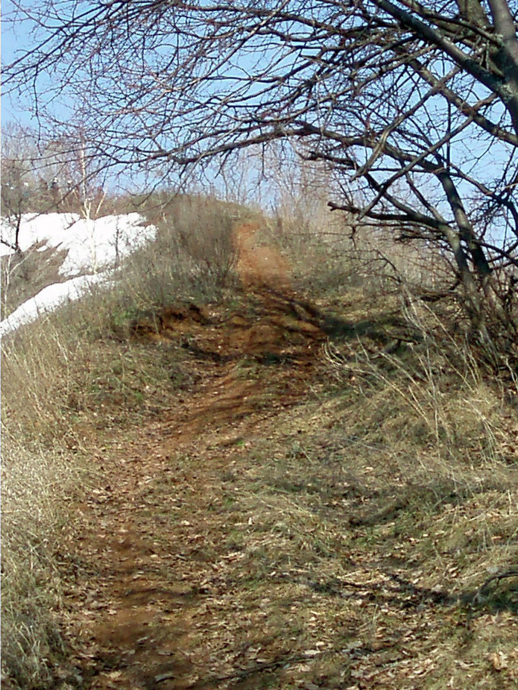 P4161468.JPG