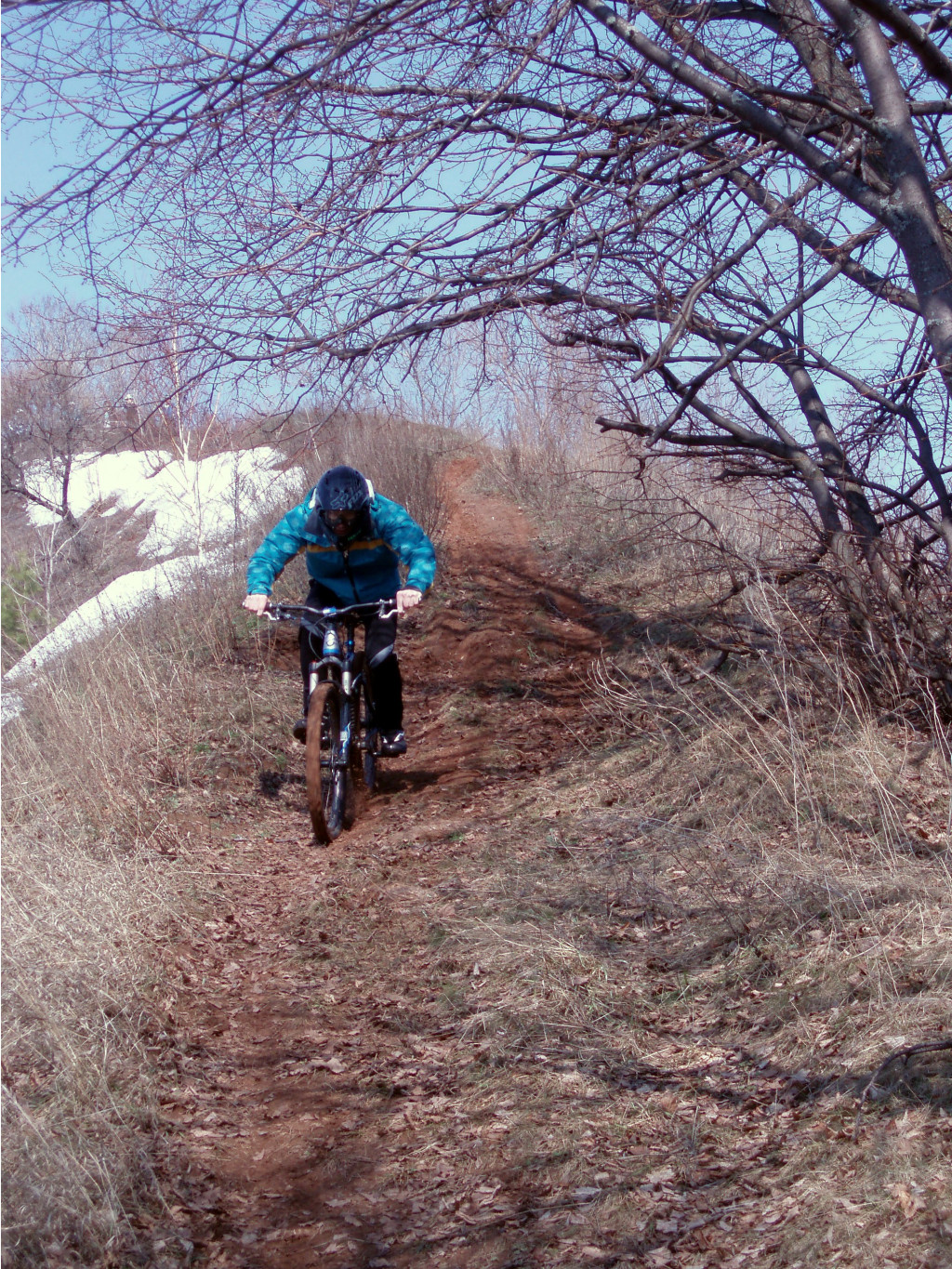 P4161474.JPG