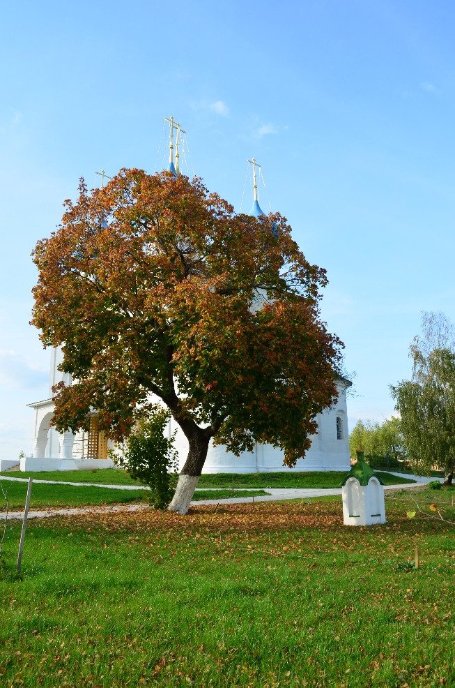 DSC_0175.JPG