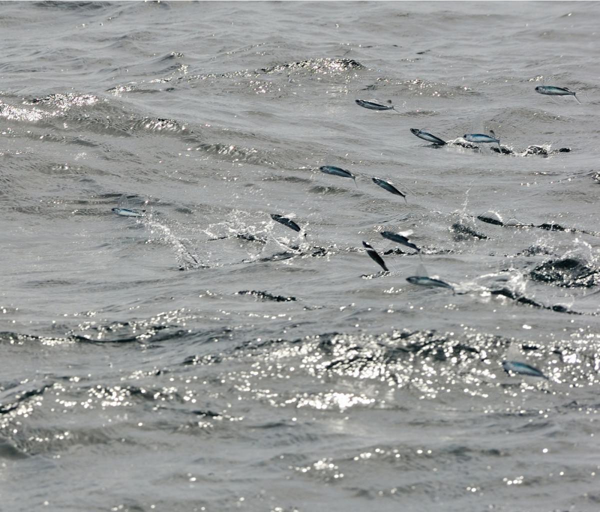 DSC_5976_801.JPG