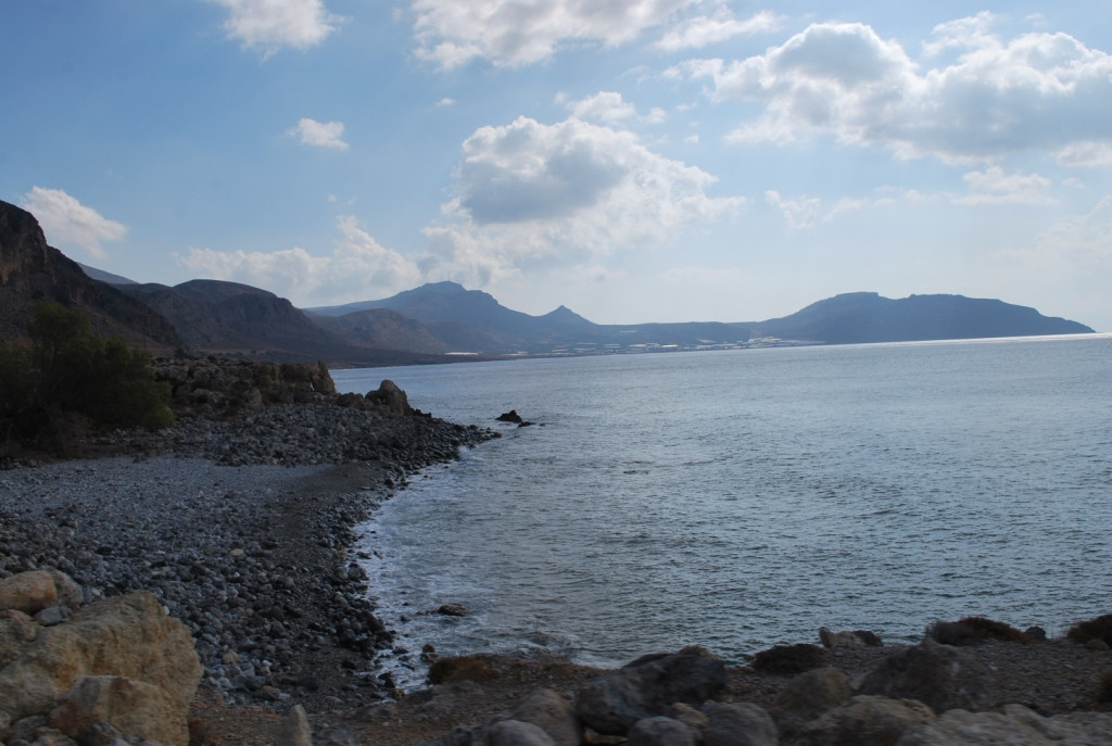 DSC_0946.JPG